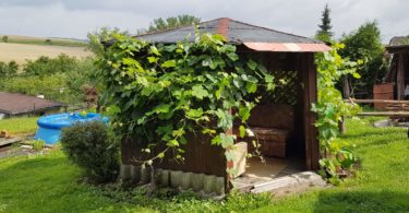 zahradní altán, bazén a výhled na okolní krajinu