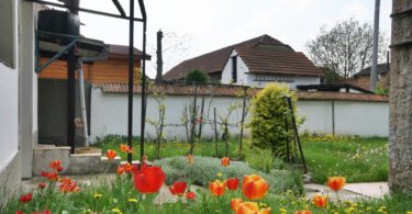 dílna, část zahrady s rozkvetlými tulipány