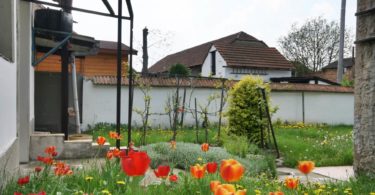 dílna, část zahrady s rozkvetlými tulipány